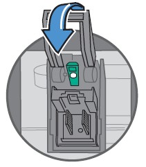 rtaImage__5_.jpeg